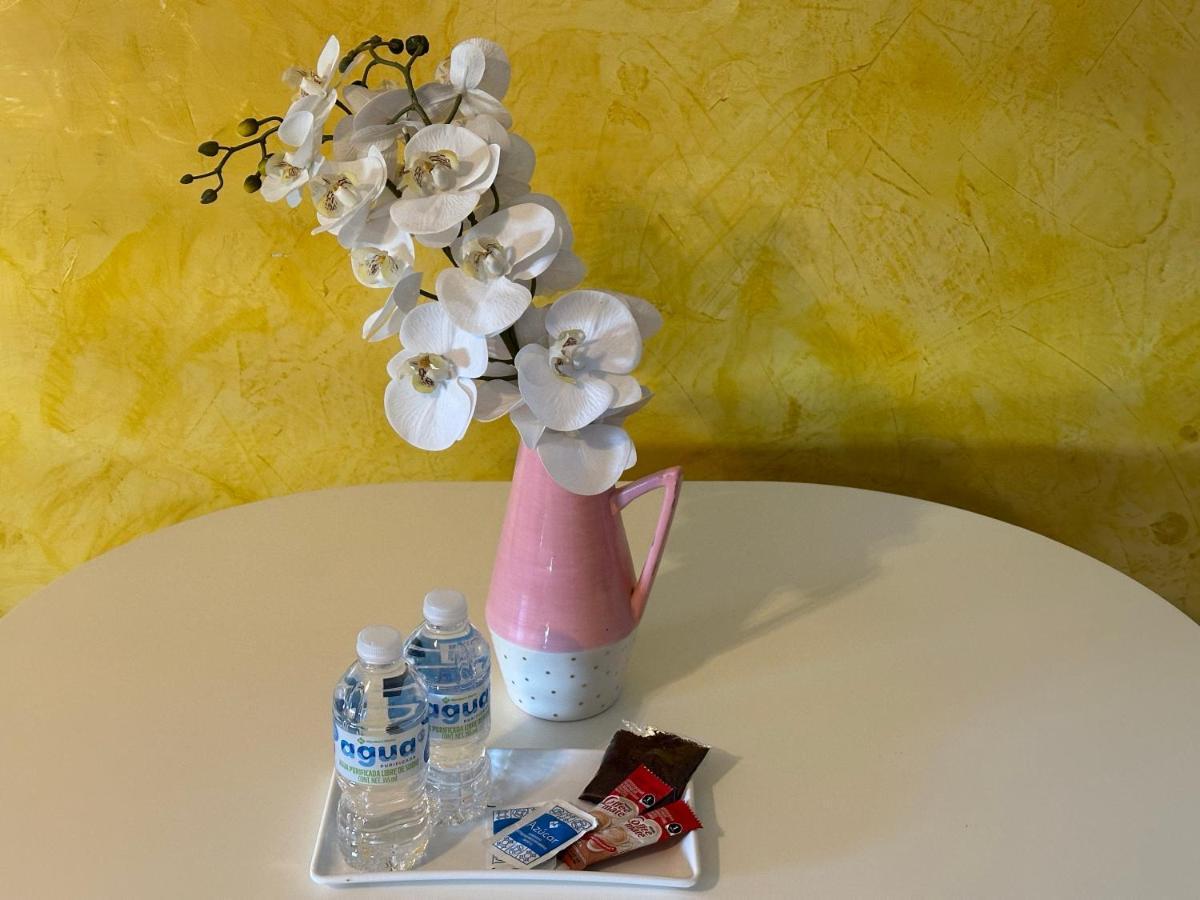 ורקרוז Suites Brisa Marina - Atras De Playa Regatas Y El Malecon, 6 Calles Del Acuario מראה חיצוני תמונה